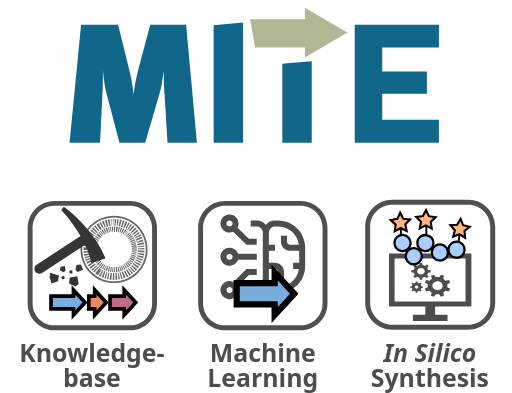 Machine Learning on Tailoring Enzymes - Harnessing MITE DB
